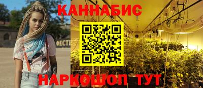 дмт Шелехов