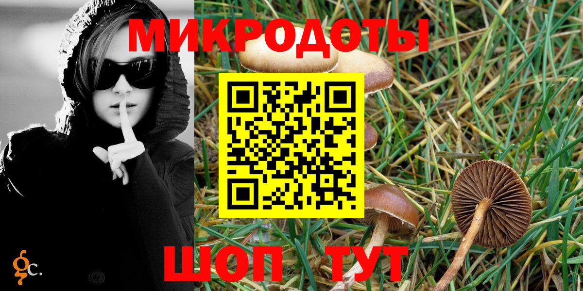 Галлюциногенные грибы Cubensis Владикавказ