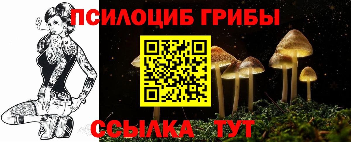 Владикавказ  как найти закладки  Псилоцибиновые грибы ЛСД  Вход с VPN  Галлюциногенные грибы Cubensis 